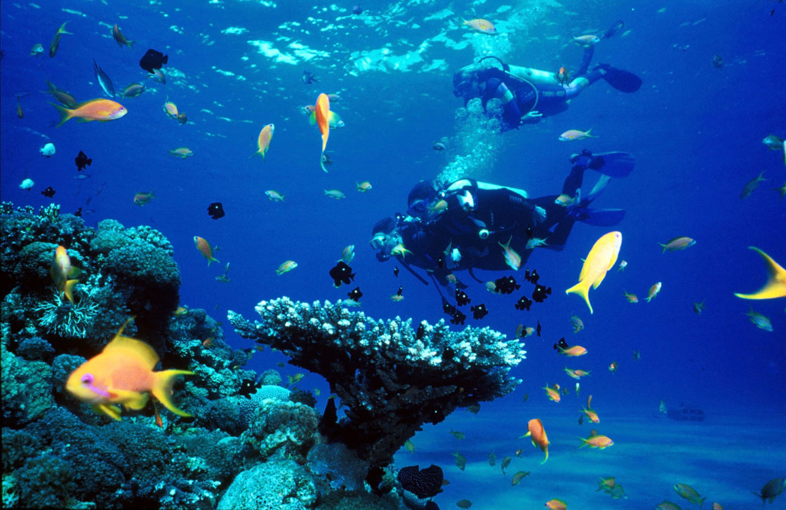 Scuba diving in Rio 🥽